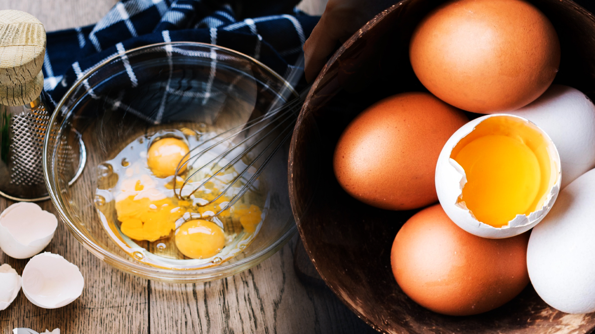 Toutes nos recettes et astuces pour réussir et cuisiner les œufs